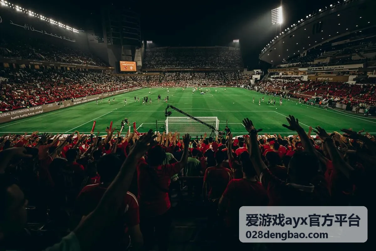 爱游戏ayx官方平台订阅提醒功能说明配图