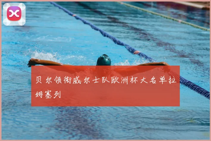 贝尔领衔威尔士队欧洲杯大名单拉姆塞列