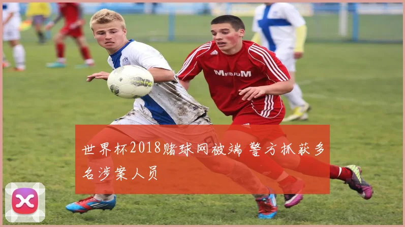 世界杯2018赌球网被端 警方抓获多名涉案人员
