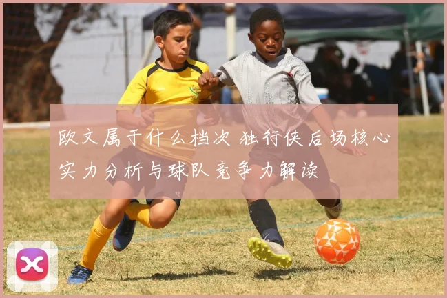 欧文属于什么档次 独行侠后场核心实力分析与球队竞争力解读