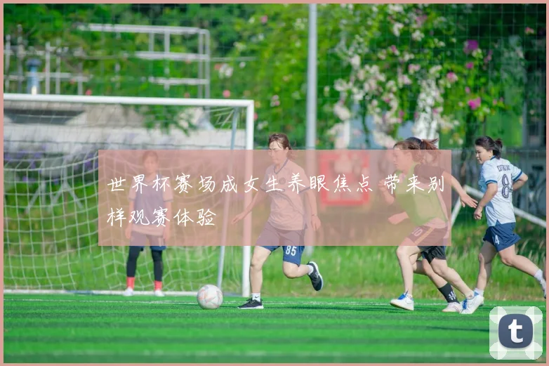 世界杯赛场成女生养眼焦点 带来别样观赛体验